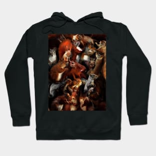 Squirrels Hoodie